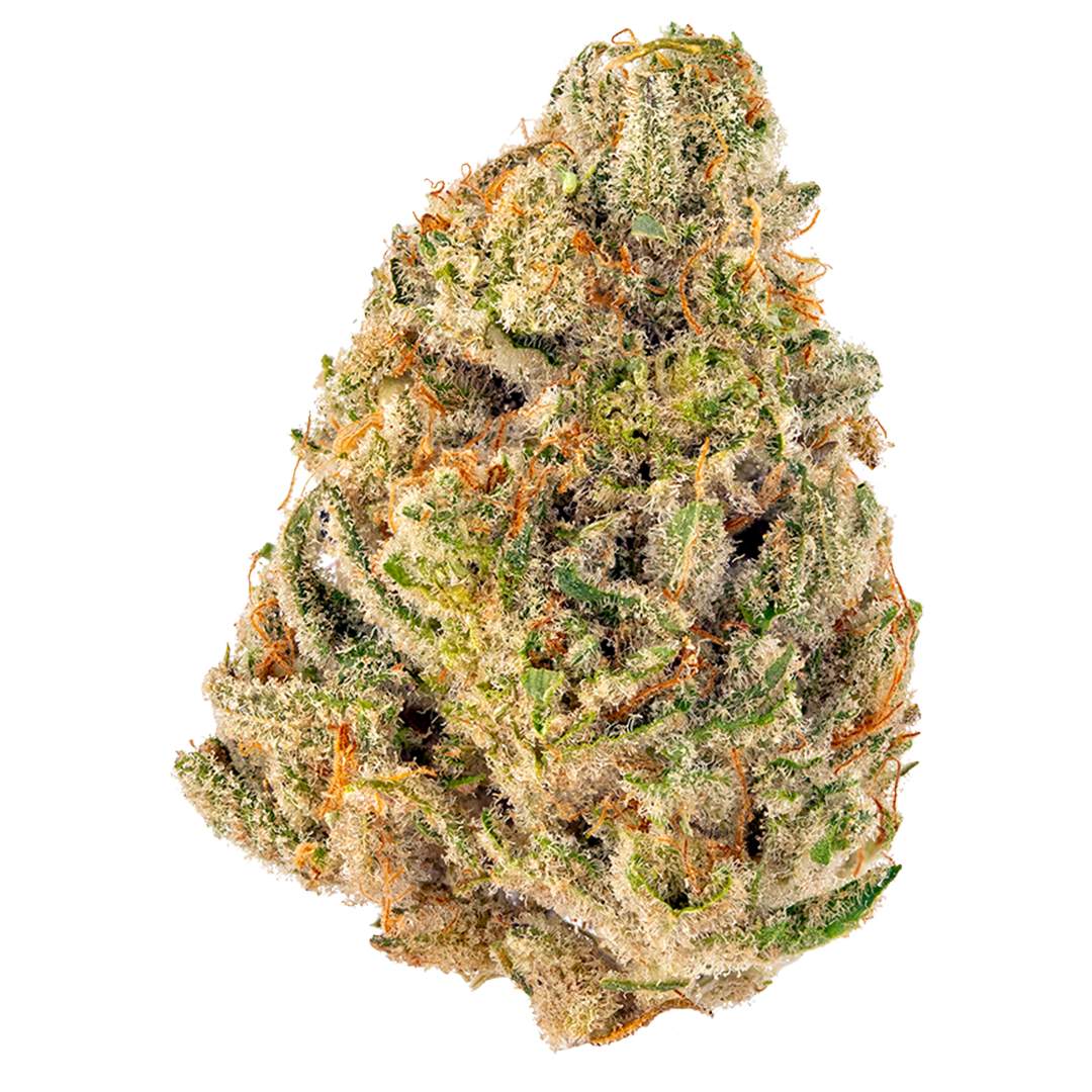 High Thca Cheetah Piss Indoor Flower