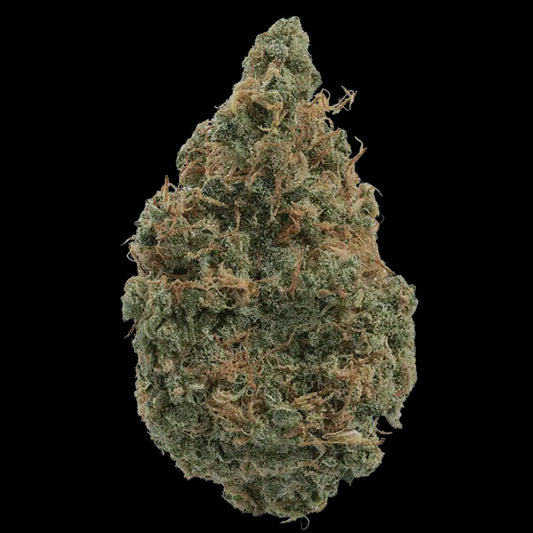 High THCA Indoor Austrian Gold Flower