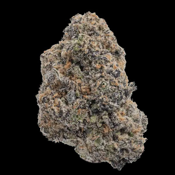 High Thca Lizard Bone Indoor Flower