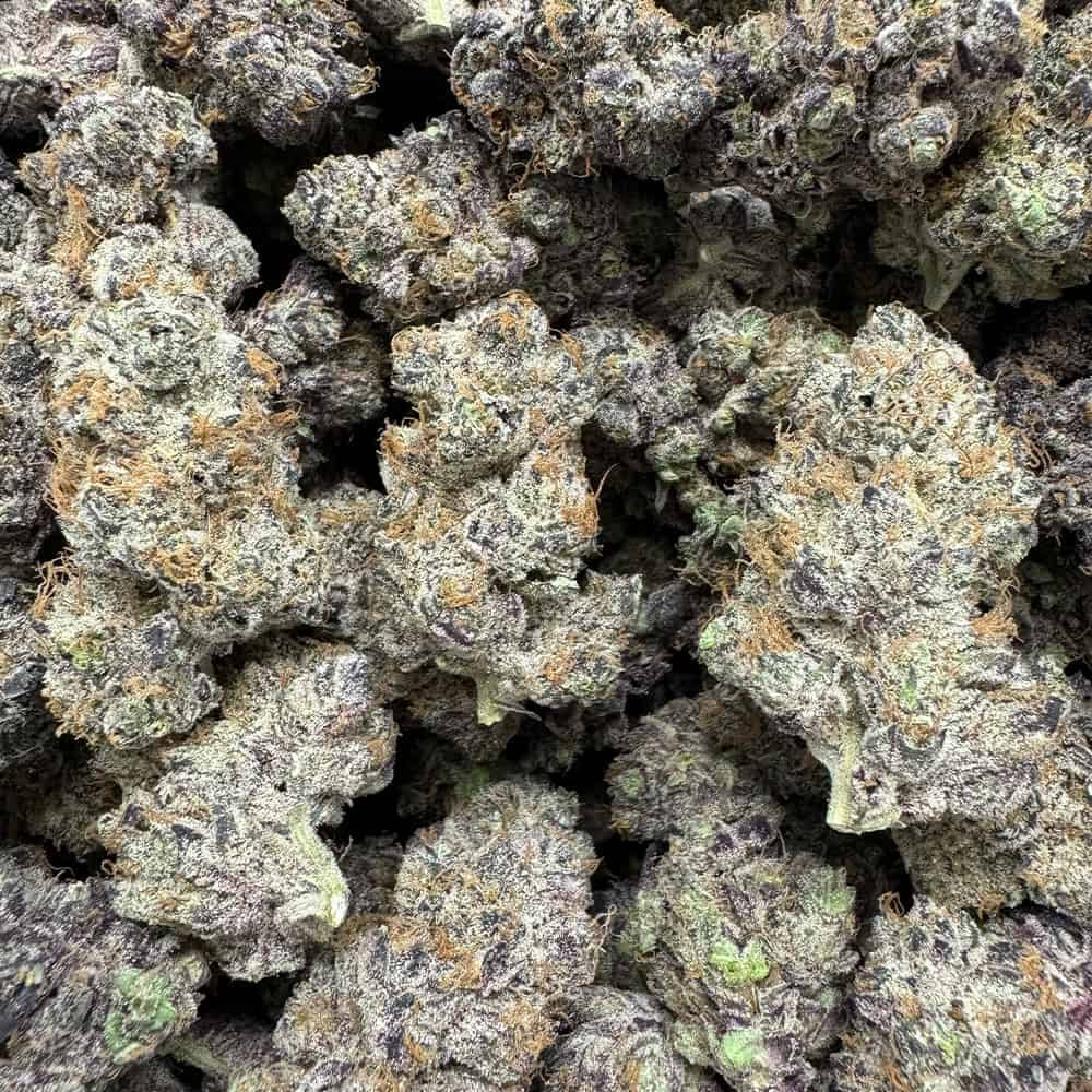 Purple Voodoo THCA  Indoor Flower