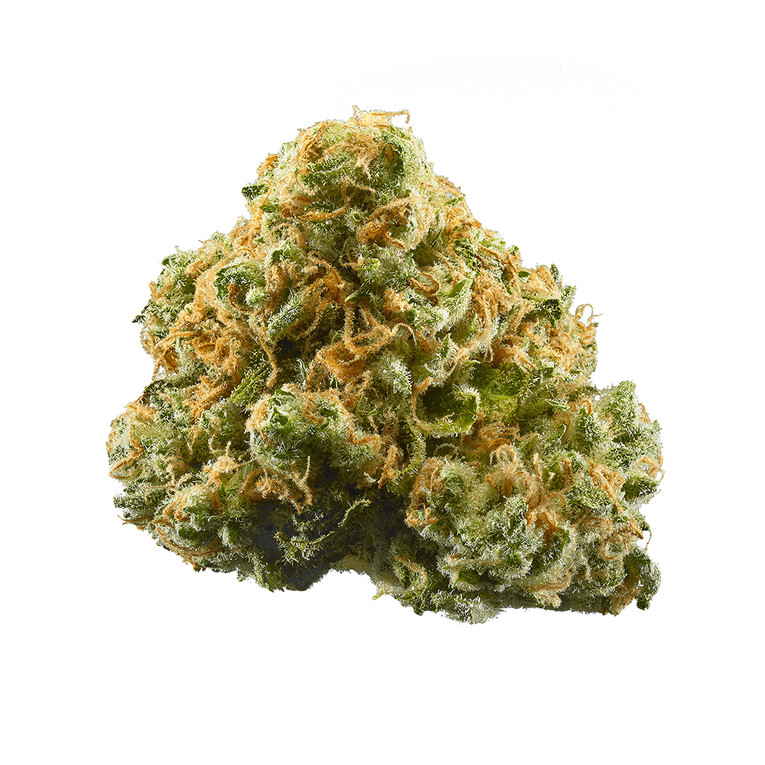 High THCA Pineapple Express indoor flower
