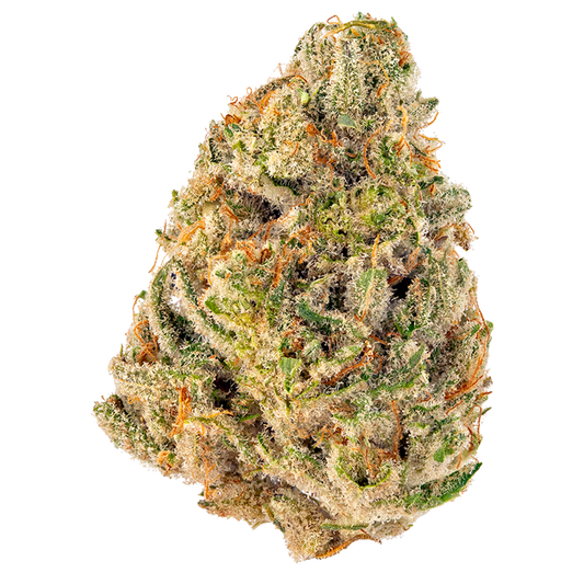 High Thca Cheetah Piss Indoor Flower