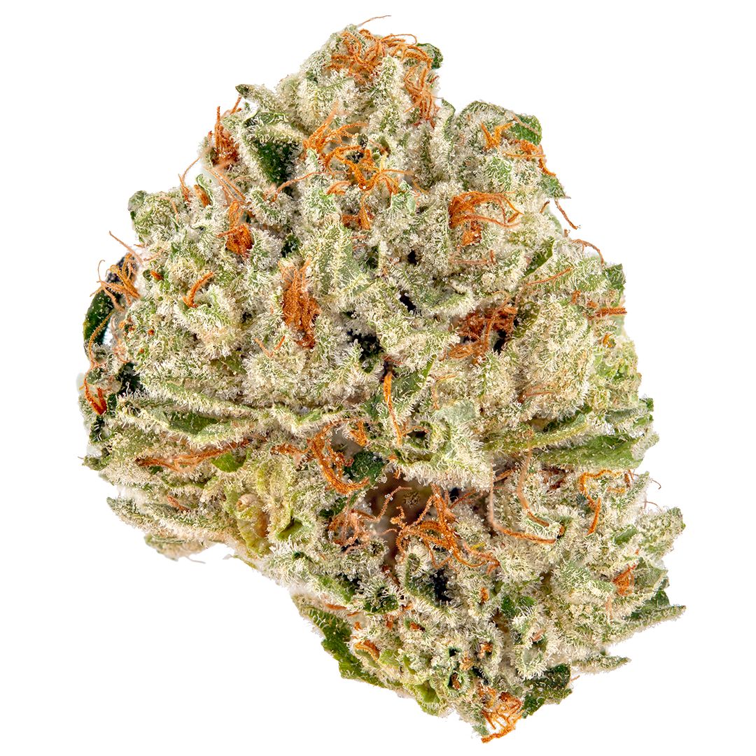 High THCA S'mores Indoor Flower